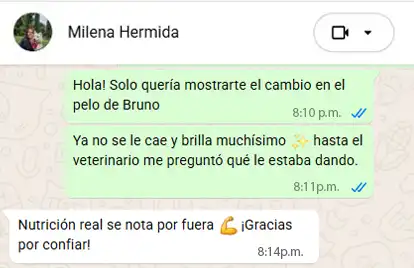 Testimonio de Milena H.